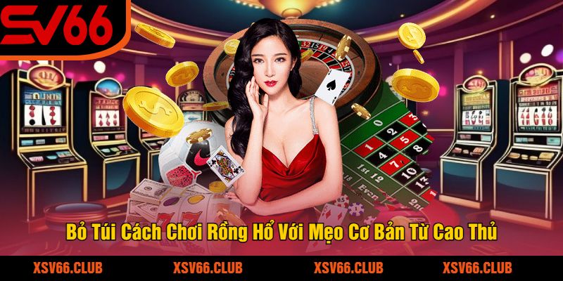 Bỏ Túi Cách Chơi Rồng Hổ Với Mẹo Cơ Bản Từ Cao Thủ