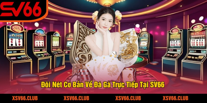 Đôi Nét Cơ Bản Về Đá Gà Trực Tiếp Tại SV66