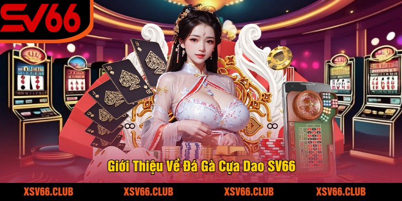 Giới Thiệu Về Đá Gà Cựa Dao SV66