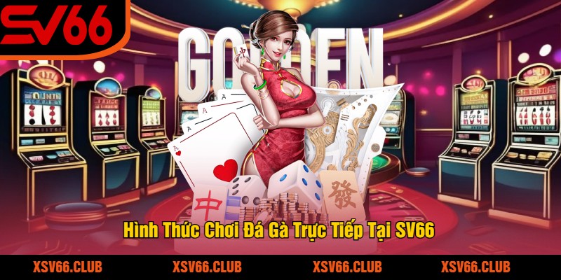 Hình Thức Chơi Đá Gà Trực Tiếp Tại SV66