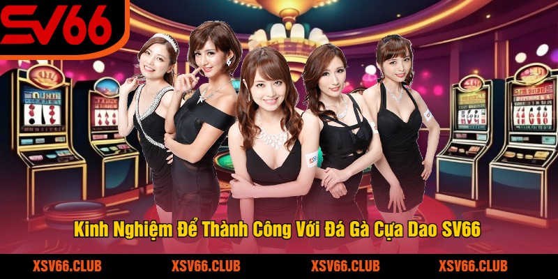 Kinh Nghiệm Để Thành Công Với Đá Gà Cựa Dao SV66