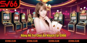Rồng Hổ Trò Chơi Ăn Khách Tại SV66