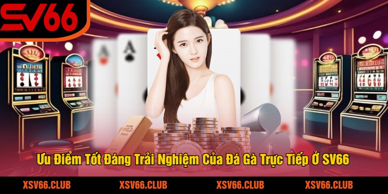 Ưu Điểm Tốt Đáng Trải Nghiệm Của Đá Gà Trực Tiếp Ở SV66